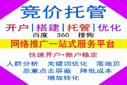 案例解析：竞价广告效果评估与优化